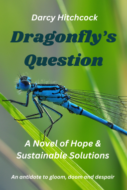 book cover for Dragonfly's Question