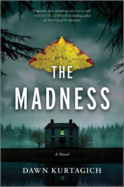 book cover for The Madness