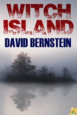 book cover for Witch Island