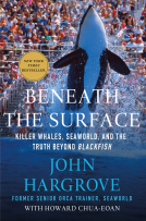 book cover for Beneath the Surface