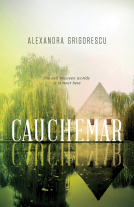 book cover for Cauchemar