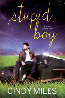 book cover for Stupid Boy (New Adult Romance)