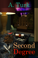 book cover for Second Degree