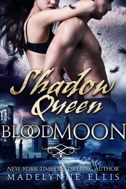 book cover for Shadow Queen