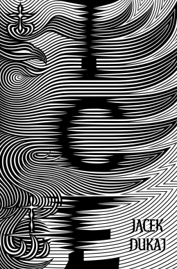 book cover for Ice