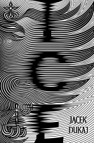book cover for Ice