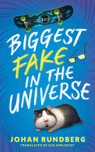 book cover for Biggest Fake in the Universe