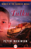 book cover for Tulku