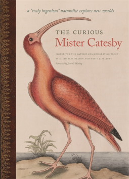 book cover for The Curious Mister Catesby