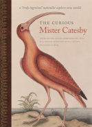 book cover for The Curious Mister Catesby
