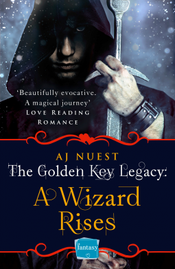 book cover for A Wizard Rises