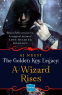 Cover Image: A Wizard Rises