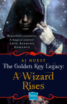 book cover for A Wizard Rises