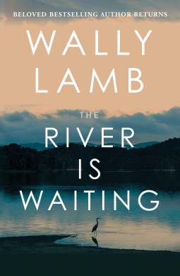 book cover for The River Is Waiting (Oprah's Book Club)