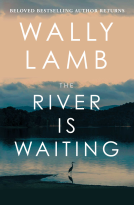 book cover for The River Is Waiting (Oprah's Book Club)