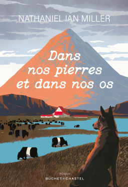 Couverture du livre pour Dans nos pierres et dans nos os