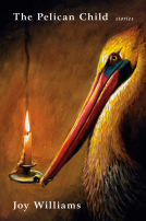 book cover for The Pelican Child