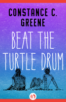 book cover for Beat the Turtle Drum