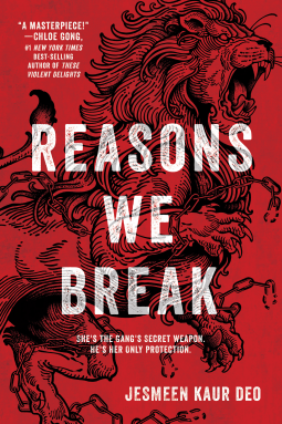 book cover for Reasons We Break