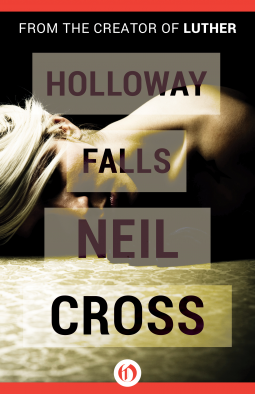 book cover for Holloway Falls