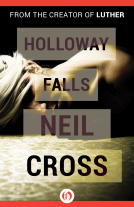 book cover for Holloway Falls