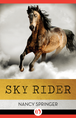 book cover for Sky Rider