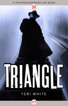 book cover for Triangle