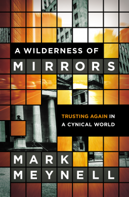 book cover for A Wilderness of Mirrors