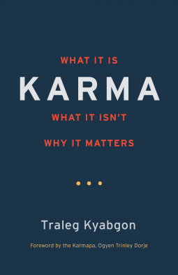 book cover for Karma
