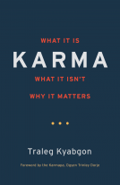 book cover for Karma