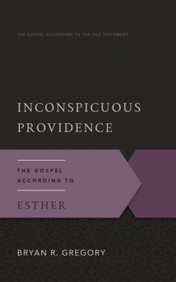 book cover for Inconspicuous Providence