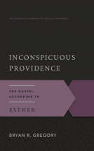 book cover for Inconspicuous Providence