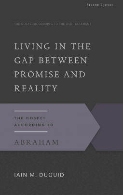 book cover for Living in the Gap Between Promise and Reality, Second Edition