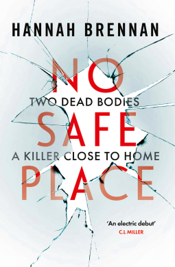 book cover for No Safe Place