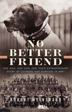 book cover for No Better Friend