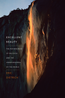 book cover for Excellent Beauty
