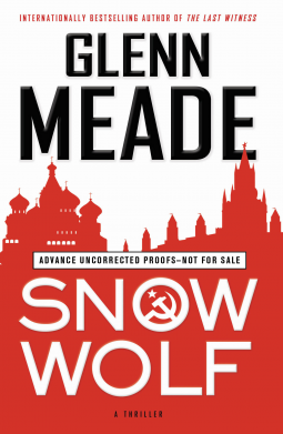 book cover for Snow Wolf
