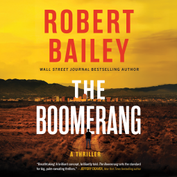 book cover for The Boomerang