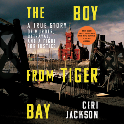 book cover for The Boy from Tiger Bay
