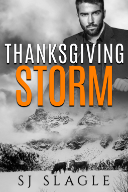 book cover for Thanksgiving storm