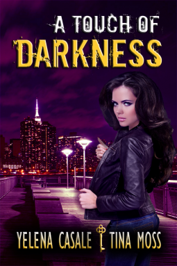 book cover for A Touch of Darkness