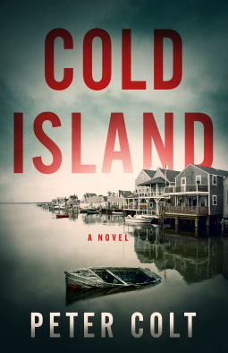 book cover for Cold Island