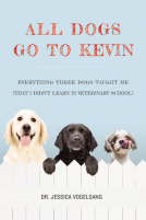 book cover for All Dogs Go to Kevin
