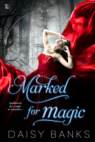 book cover for Marked For Magic