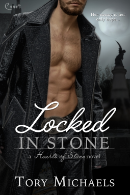 book cover for Locked in Stone