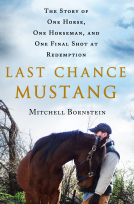 book cover for Last Chance Mustang
