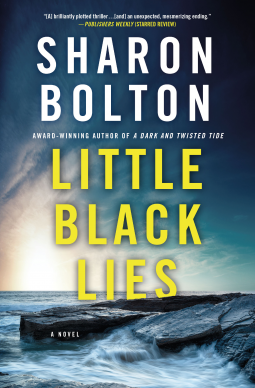 book cover for Little Black Lies
