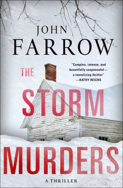 book cover for The Storm Murders