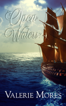 book cover for Open Waters