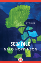 book cover for Skin Folk